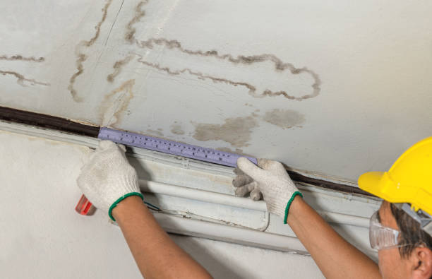 Reliable Mold Remediation contractor in Elizabethtown, NC by Water Damage Irwin
